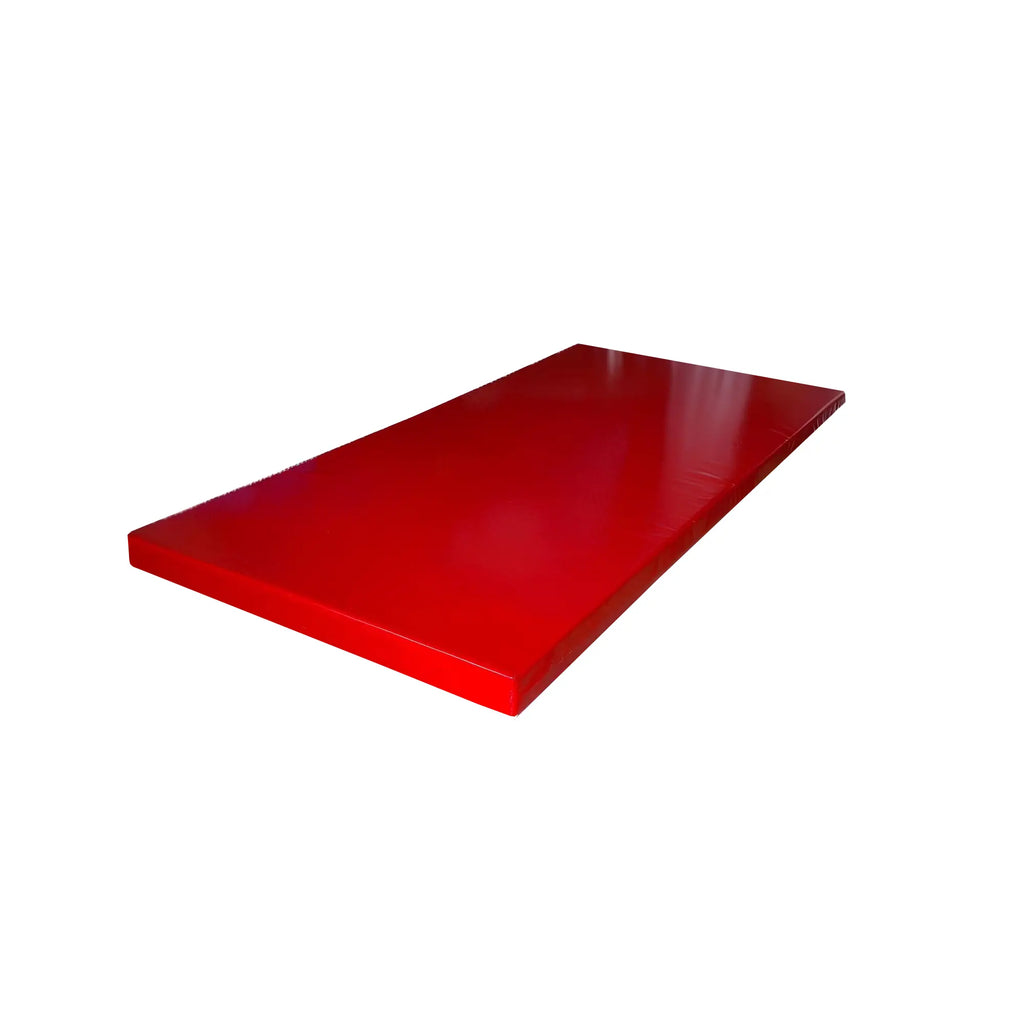 Professional Training Mat 100x200x5cm