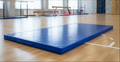 Professional Training Mat 100x200x5cm